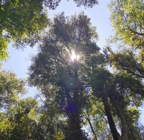 Majatalo Hostal La Casita Del Bajo