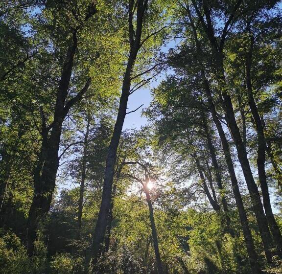 Panzió Hostal La Casita Del Bajo