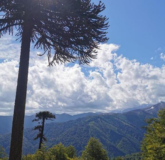 Panzió Hostal La Casita Del Bajo