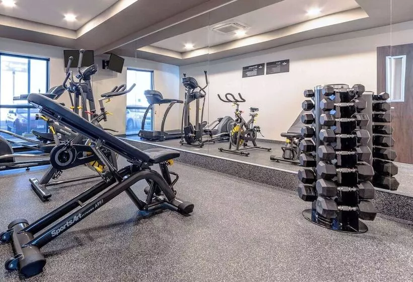 Hotelli Comfort Inn Delicias