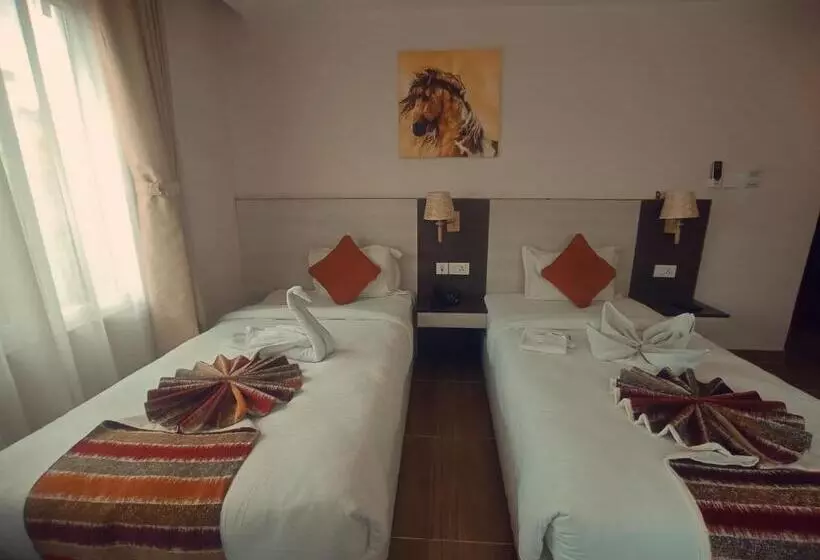هتل Krishna Kathmandu