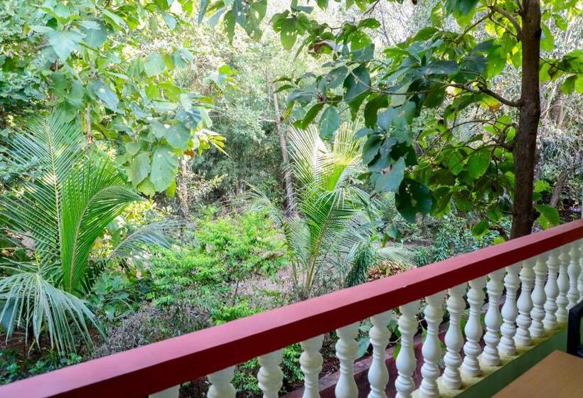 פנסיון Gabriel & Felicidade Villa