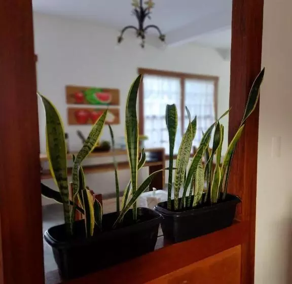 ペンション Pousada Despertar De Minas