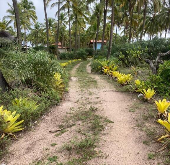 膳宿费 Pousada Mar Dos Algodões Praia De Algodões