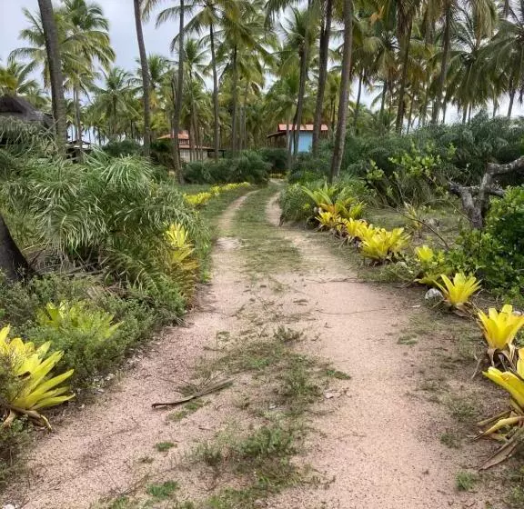 پانسیون Pousada Mar Dos Algodões   Praia De Algodões