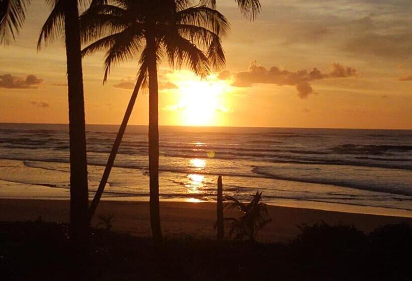 膳宿费 Pousada Mar Dos Algodões Praia De Algodões