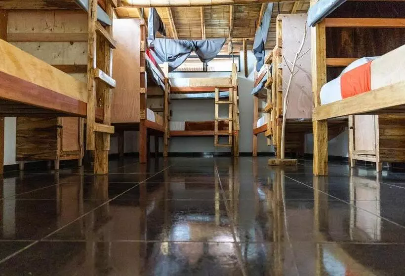 ユースホステル Tukawa