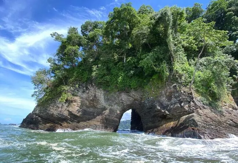 تختخواب و صبحانه Pacific Edge Eco Lodge