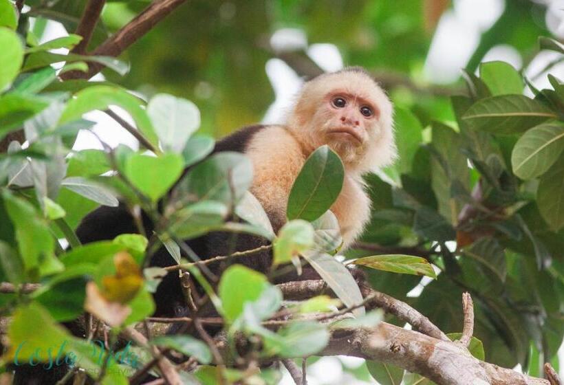 민박 Pacific Edge Eco Lodge