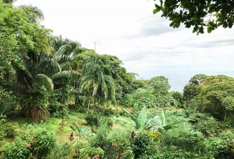 تختخواب و صبحانه Pacific Edge Eco Lodge