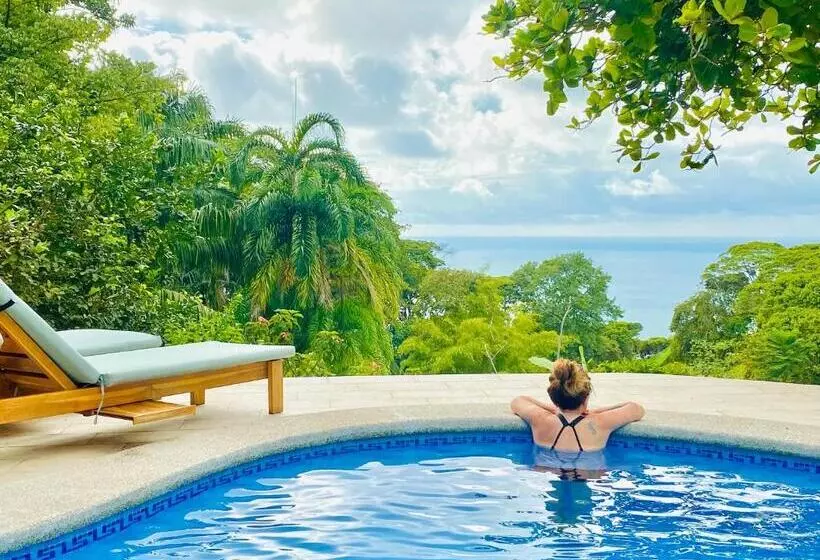 تختخواب و صبحانه Pacific Edge Eco Lodge