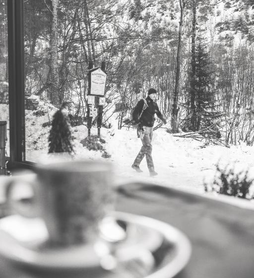 פנסיון Chata Zázvor