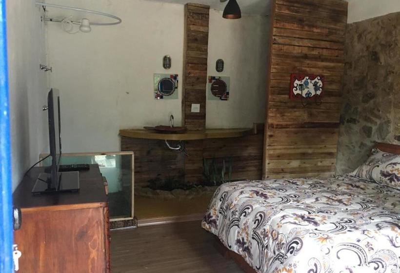 הוסטל Pousada Rancho Flores