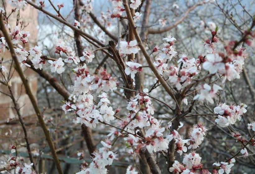 تختخواب و صبحانه Vanadzor Guest House