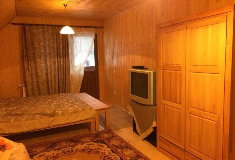 ペンション Guest House In Carpathians