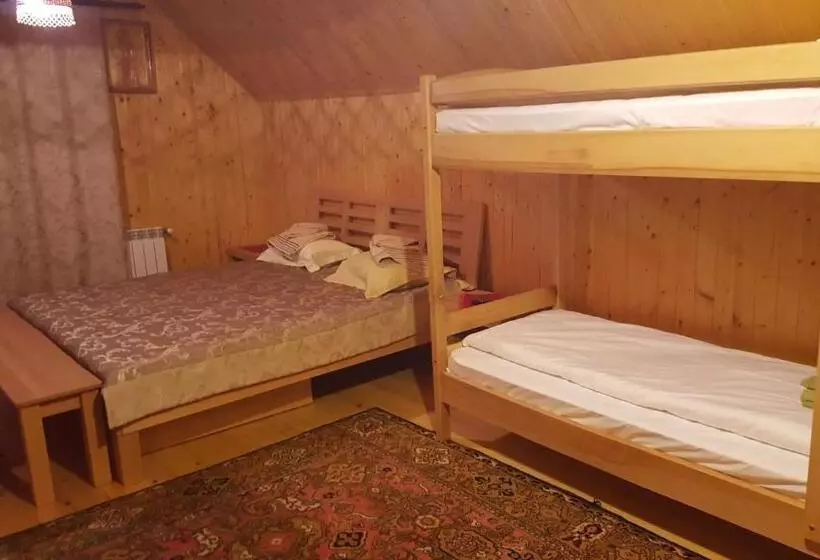 ペンション Guest House In Carpathians