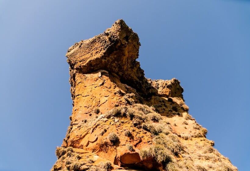 Planalto Select Hotel Ponta Grossa