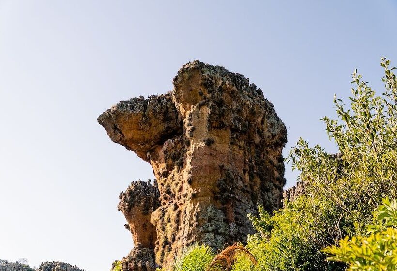 Planalto Select Hotel Ponta Grossa