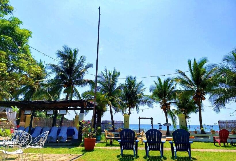 Отель North Shores Inn