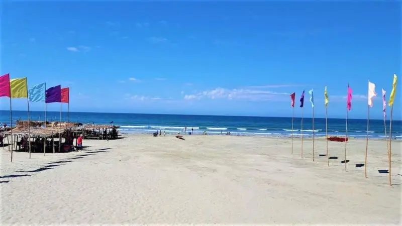 هتل North Shores Inn