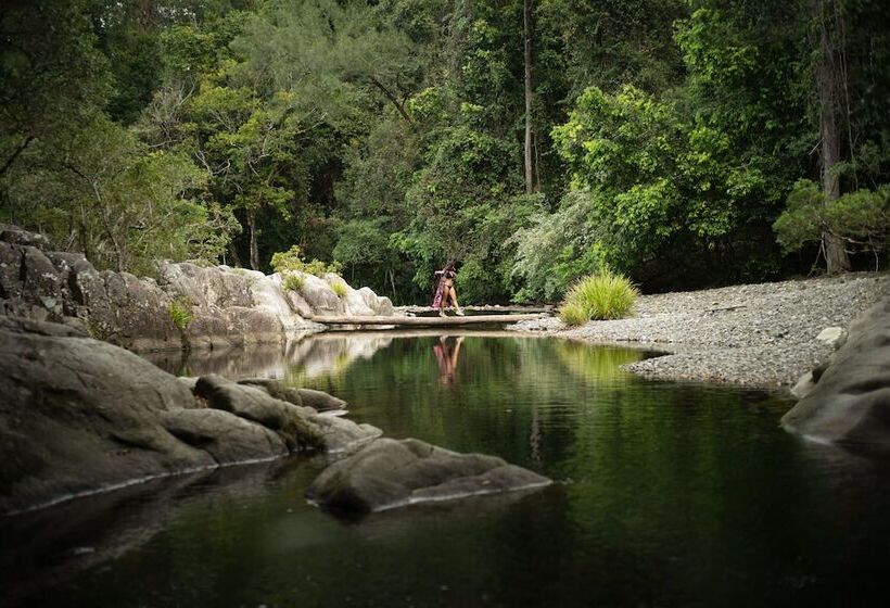 旅馆 Bellingen Belfry Guesthouse