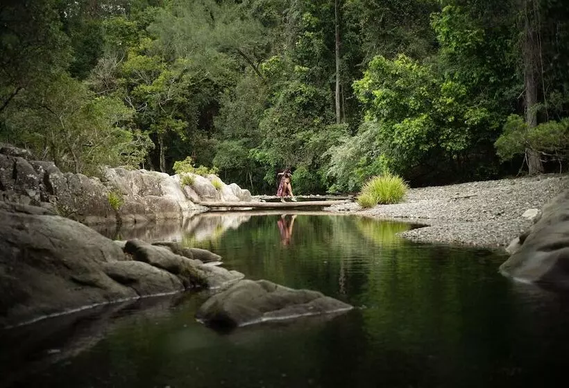 ユースホステル Bellingen Belfry Guesthouse