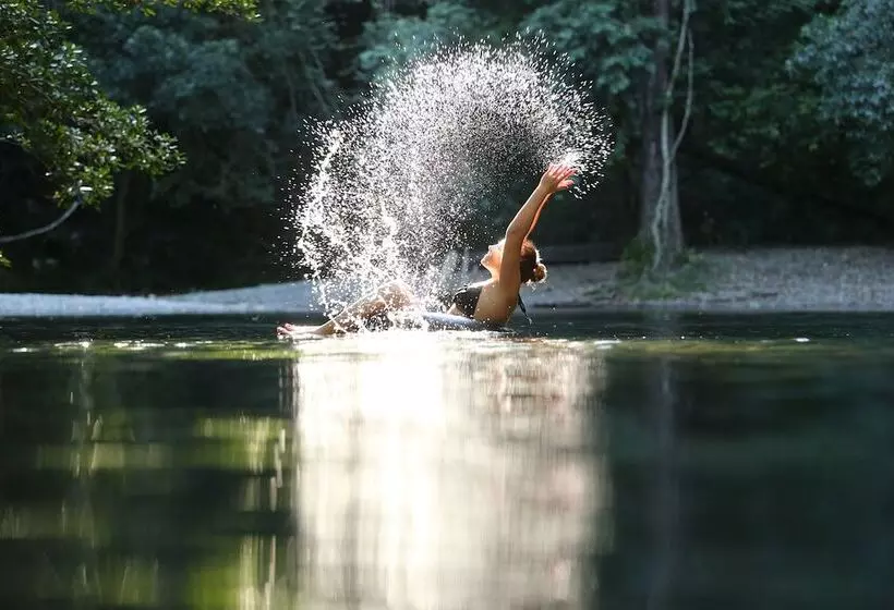 ユースホステル Bellingen Belfry Guesthouse