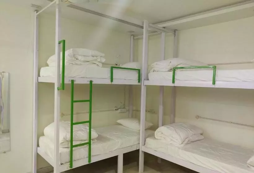 Alberg The Sweven Rishikesh