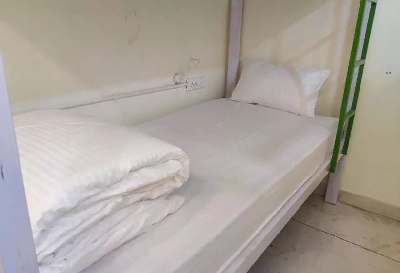 Alberg The Sweven Rishikesh