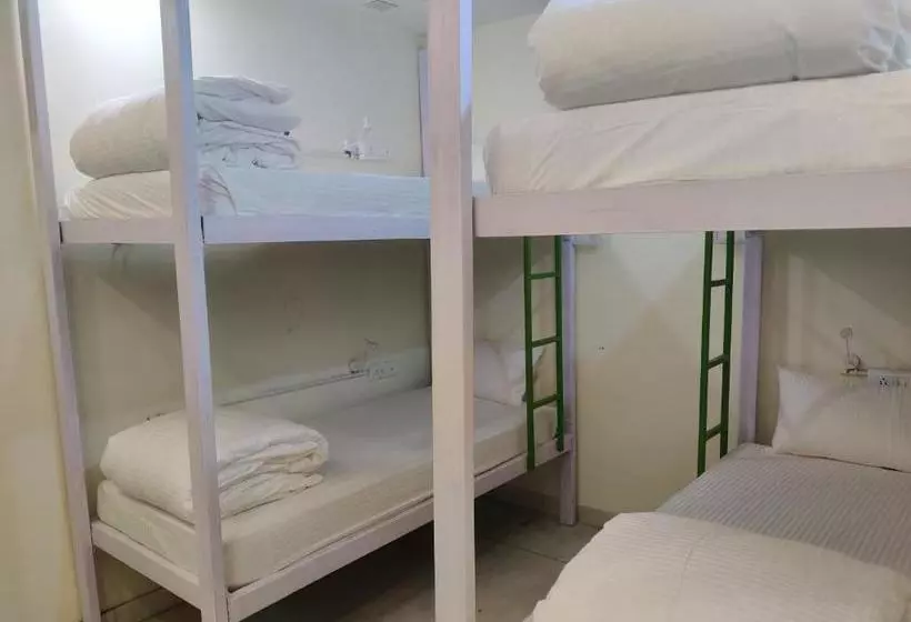 Alberg The Sweven Rishikesh