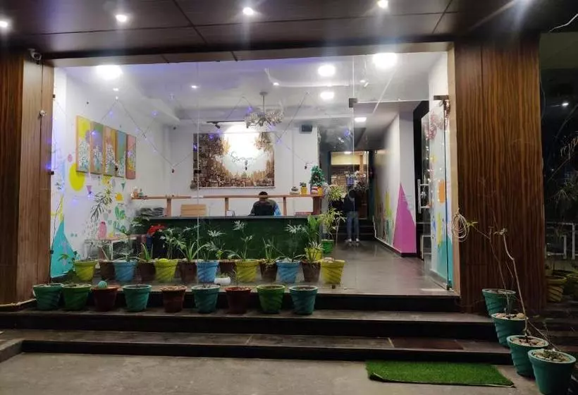 Alberg The Sweven Rishikesh