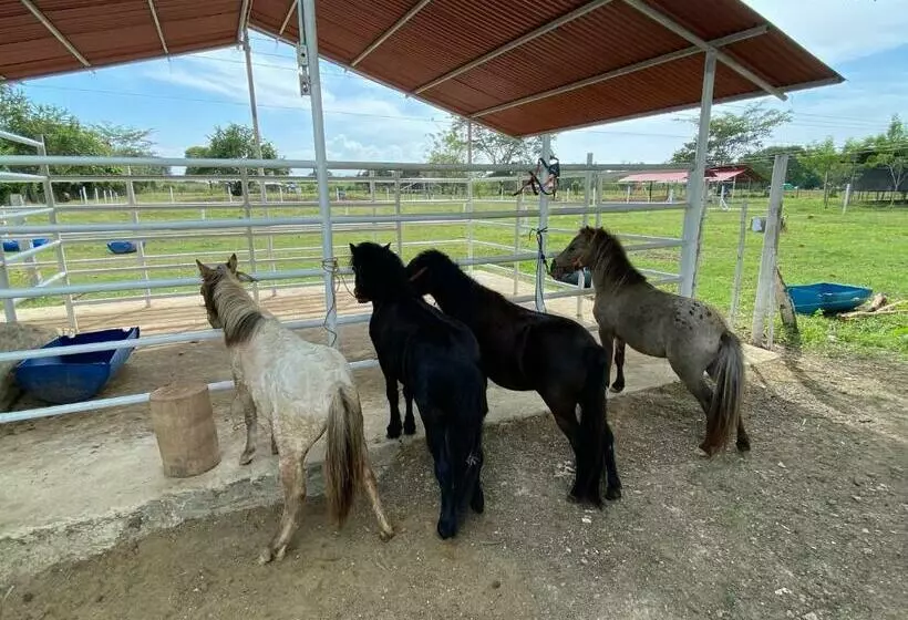 ベッドアンドブレックファースト Granja De Animales San Basilio De Palenque