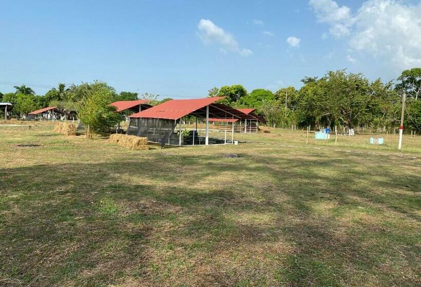 Bed and Breakfast Granja De Animales San Basilio De Palenque