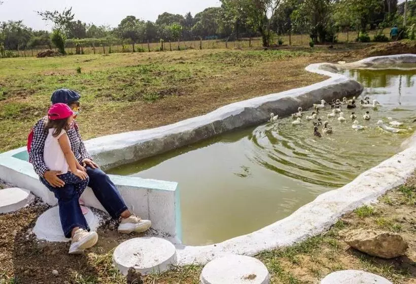 ベッドアンドブレックファースト Granja De Animales San Basilio De Palenque