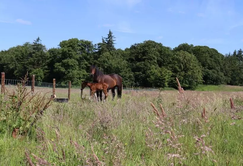 호텔 Castlemartyr Resort