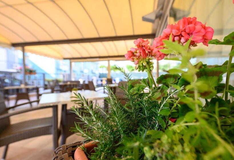 בית מלון כפרי Harmony