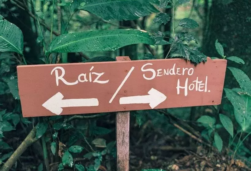 Hotel Jardines De Monteverde