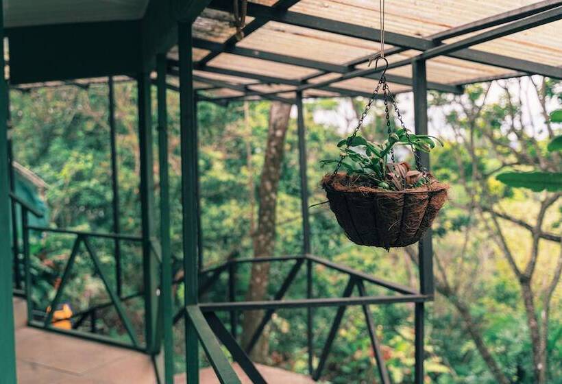 فندق Jardines De Monteverde