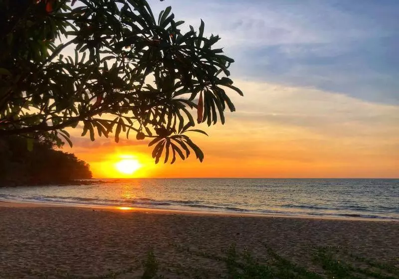 فندق Khaolak Palm Beach Resort