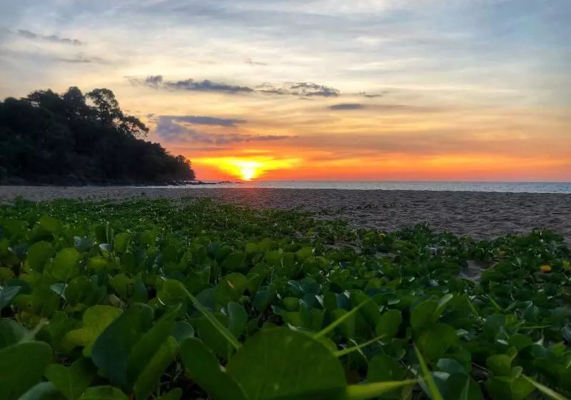 فندق Khaolak Palm Beach Resort