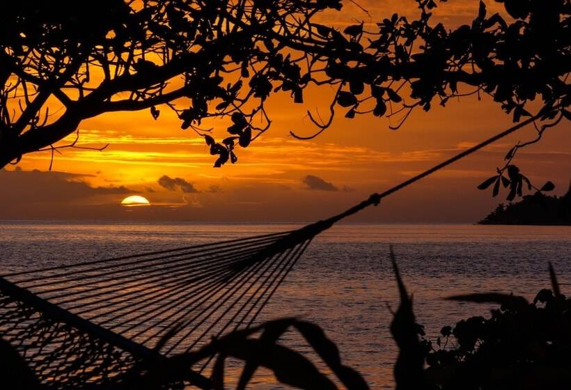 فندق Malolo Island Resort