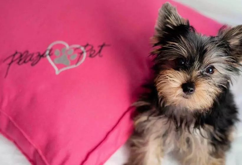 Hotelli Plaza Barra First