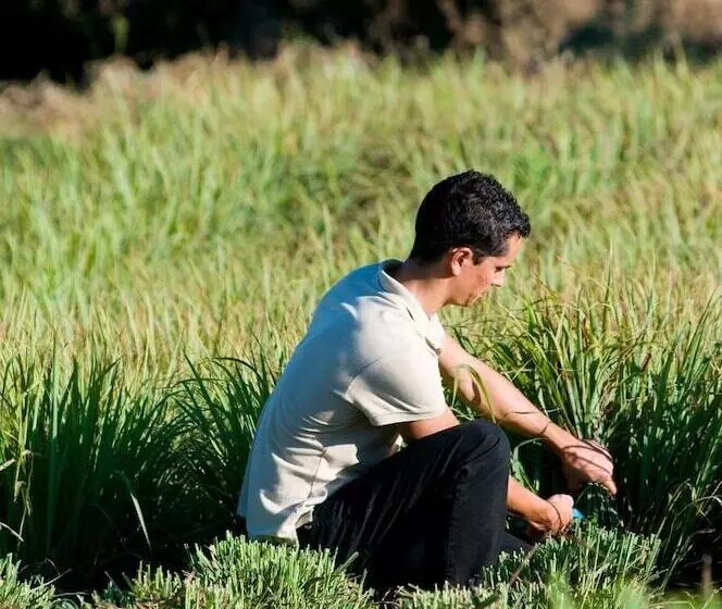 Сельский отель Quinta Do Mel