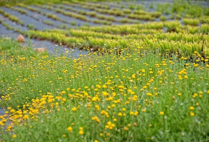 فندق ريفى Quinta Do Mel