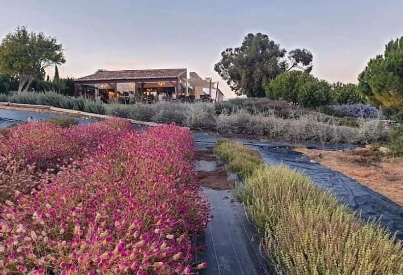 فندق ريفى Quinta Do Mel