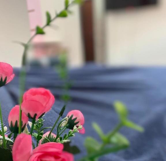 هاستل Pousada Center