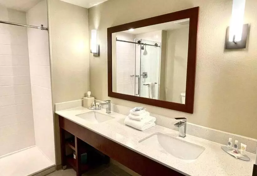 ホテル Comfort Inn & Suites