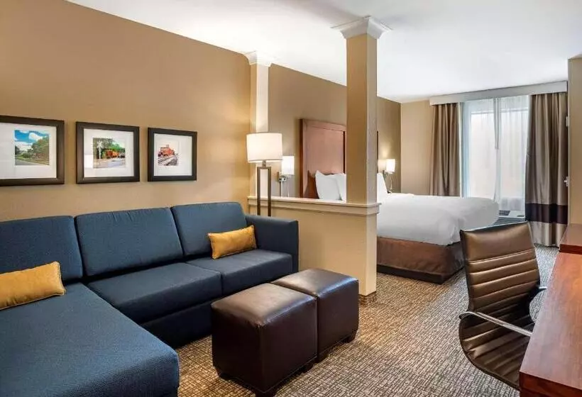 ホテル Comfort Inn & Suites