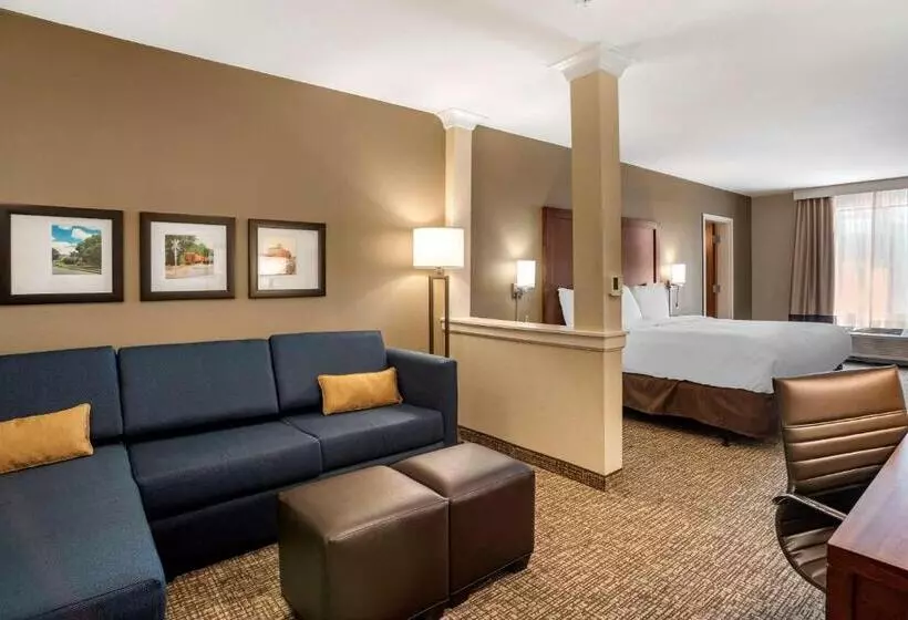 ホテル Comfort Inn & Suites