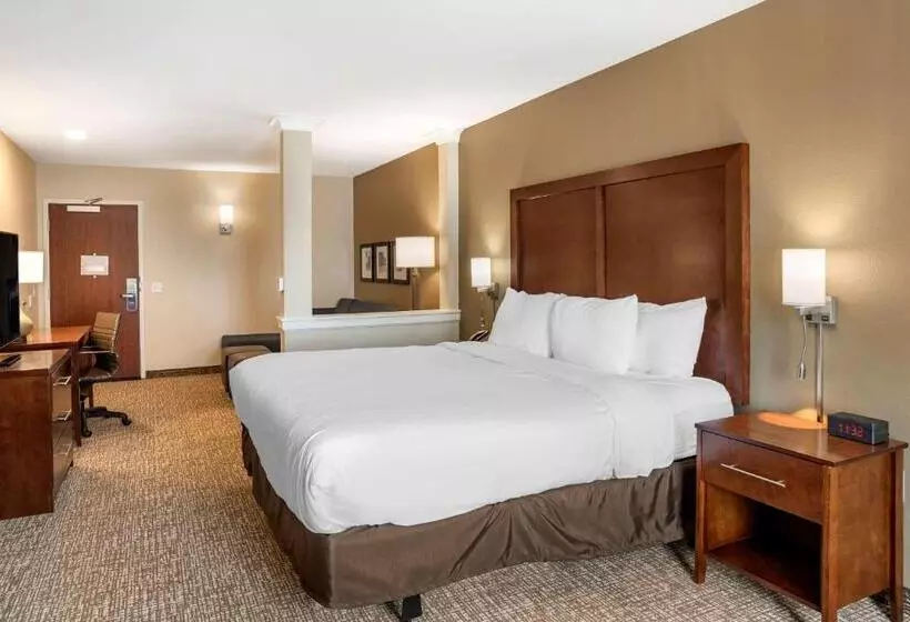 ホテル Comfort Inn & Suites